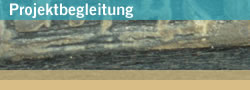 Projektbegleitung